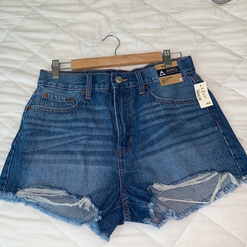 AERO Curvy Vintage High Rise Shorty 2.5”